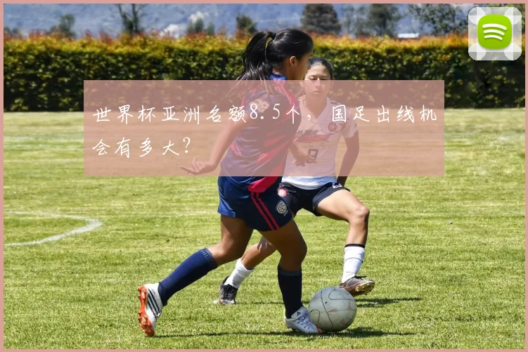 世界杯亚洲名额8.5个，国足出线机会有多大？