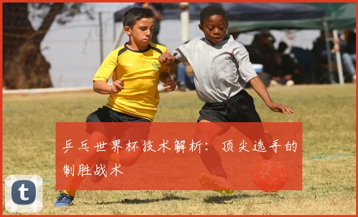 乒乓世界杯技术解析:顶尖选手的制胜战术