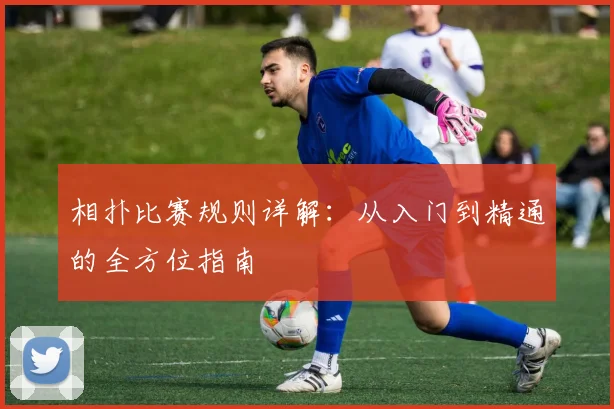 相扑比赛规则详解:从入门到精通的全方位指南