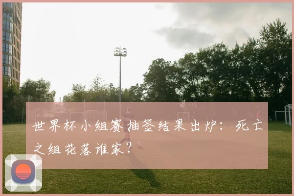 世界杯小组赛抽签结果出炉:死亡之组花落谁家?